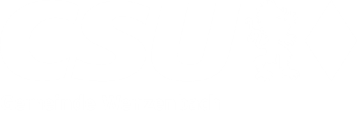 CSU Wenzenbach